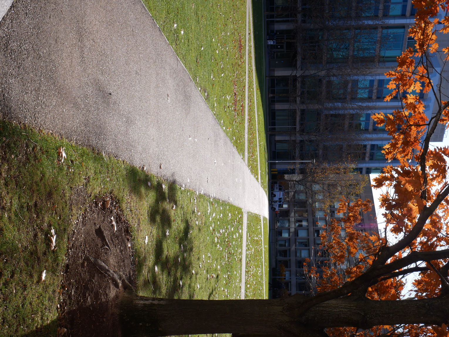 Cambridge, Buildings, Scenery