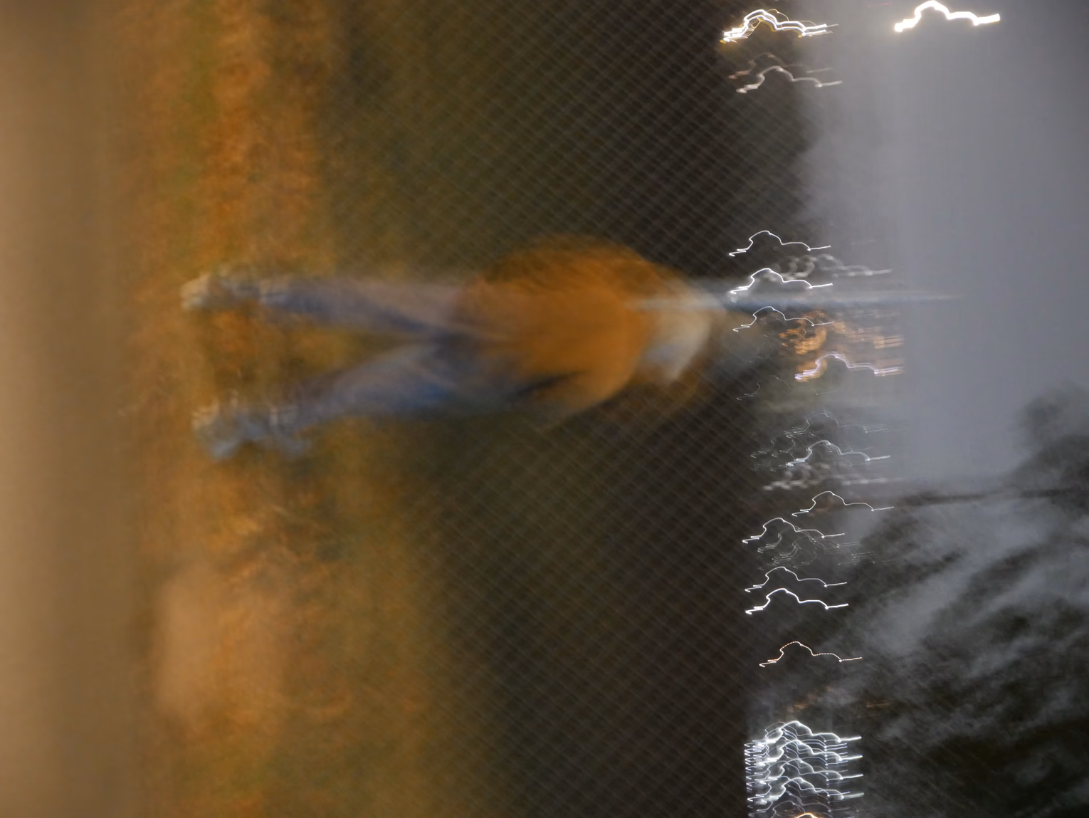 New Haven, Football, Camping